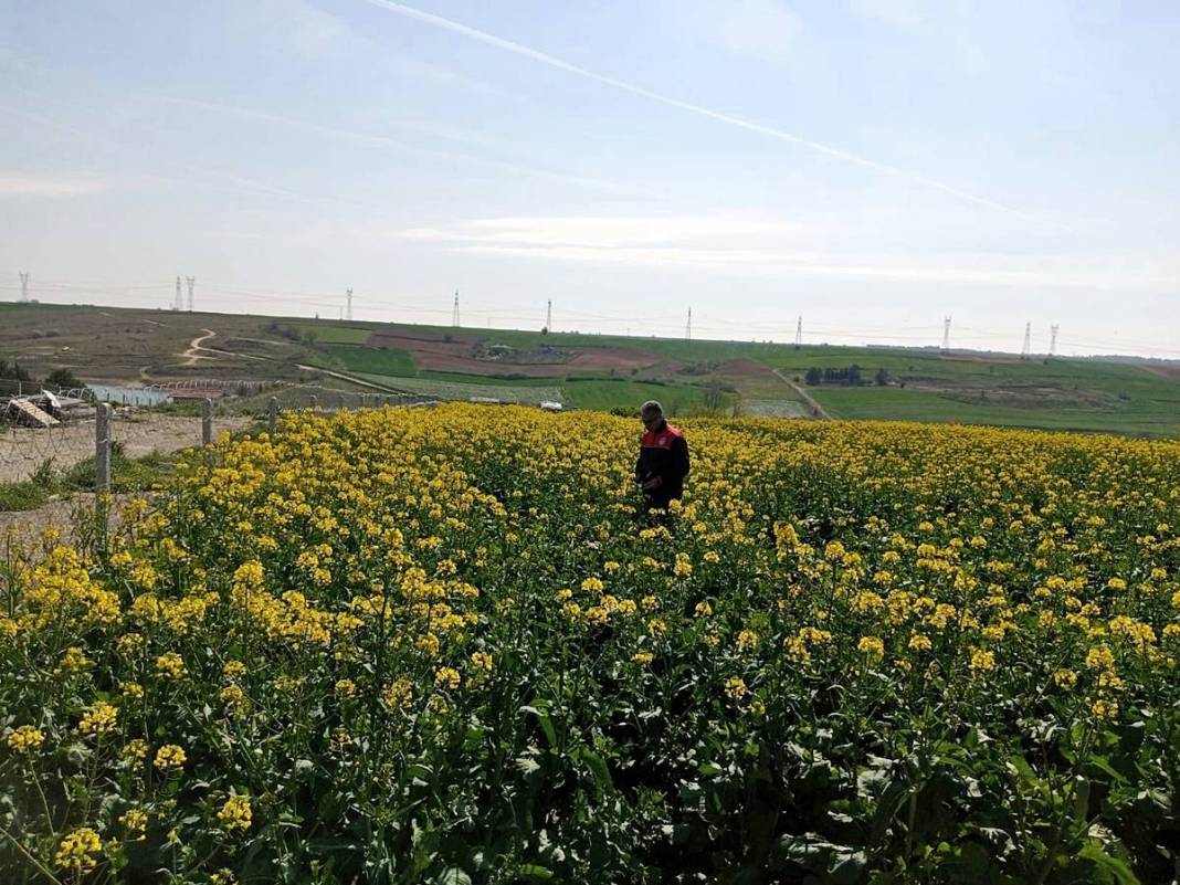 Tarımda tarihin en büyük felaketi yaşanıyor! Meyve, sebze fiyatlarında rekor artış yaşanacak 24